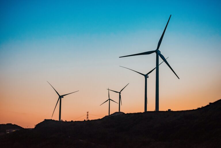 Flocking to renewables